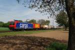 482 012 (SBB Cargo) mit KLV-Zug vor Muggensturm (29.04.2010)