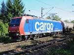 482 011-4 mit einem Kesselzug auf der Schusterbahn bei Stuttgart-Mnster am 22.09.2010