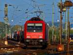 Bei schnstem Herbstwetter zieht 482 035-3 am 08.10.2010 einen Containerzug aus Aachen West der Sonne entgegen.