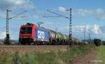 Re 482 041-1 poltert mit einem fetten ler bei Berenbusch durch die Landschaft und wird gleich Minden (Westf.) durchfahren. Aufgenommen am 4.09.10.