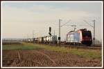 482 046 der SBB Cargo derzeit an die WLC GmbH vermietet Zug einen Misch-Zug am 27.10.2010 durch Mangolding.