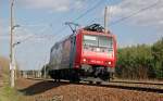 482 029 fuhr am 12.04.11 Lz durch Muldenstein Richtung Bitterfeld.