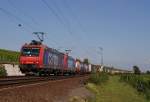 482 001-5 + 482 008-0  kotrans  mit einem Containerzug in Erbach (Rheingau) am 03.09.2011