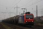 Die SBB Cargo 482 026 zog am 24.1.12 einen Kesselzug nach Basel durch ratingen-Lintorf.
Gru an den Tf!