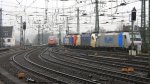 Der Thalys auf dem  Weg nach Kln, davor abgestellt 185 684-8 von der Rurtalbahn,182 523-1 der Wiener Lokalbahnen AG und 482 047-8 von SBB Cargo.