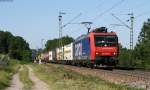 Re 480 006-4 mit einem KLV Zug Bei Bad Bellingen 16.6.12