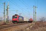 482 033-8 fhrt hier am 05.03.13 mit einem langen Containerzug  langsam in den Bahnhof Riesa ein und legt dort einen kurzen Halt ein.