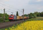 Am 15.Mai 2013  war SBBC 482 044 bei Banteln (KBS 350) mit Containern auf dem Weg Richtung Norden.