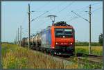 482 013-0 der SBB Cargo mit einem Kesselzug bei Eilenburg. (03.08.2013)