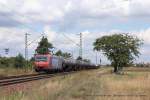 482 002-3 (SBB Cargo) fhrt am 13. August 2013 um 13:00 Uhr mit einem Gterzug durch Wiesental