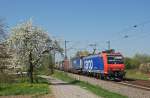 SBB Cargo Re 482 013-0 mit gemischtem KV-Zug bei Muggensturm.