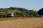 482 041 SBB Cargo mit Flachwagenzug am 04.09.2013 bei Kronach gen Saalfeld.