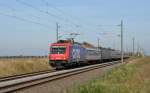 482 043 bespannte am 04.10.13 den Mller-Sonderzug(Suferzug) von Kln nach Halle(S).