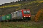 482 044-5 mit einen Containerzug am 24.10.13 nach Sden unterwegs.