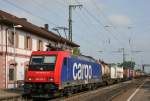 SBB 482 035 mit Gterzug Richtung Freiburg am 17.09.2008 in Herbolzheim (Breisgau)