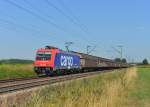 Re 482 036 mit einem Schiebenwandwagenzug am 06.08.2013 bei Plattling.