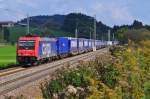 Die 482 045-2 der SBB-Cargo vor einem Güterzug zwischen Bergen und Übersee am 02.10.14