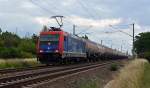 482 037 zog am 08.07.15 einen Gaskesselzug durch Greppin Richtung Dessau.