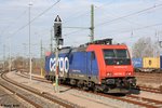 SBB 482 044-5 steht  abgebügelt  vor einem VW Autoganzzug im Bahnhof Glauchau.