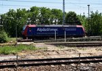 482 013-0 beim Rangieren in Ruhland am 06.06.2016.