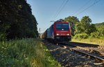 482 049-4 von sbbcargo ist am frühen Morgen bei Burghaun am 20.07.16 zu sehen.Bild wurde mit genügent abstand zum Gleis gemacht.