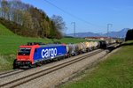 Der zweite Kreideschlammzug des Tages wurde von der SBB Cargo 482 041 befördert.