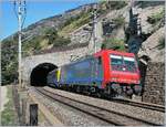 Die Re 484 013-8 verlässt mit dem EC 131 Basel - Bern - Brig - Milano den Schluchitunnel.