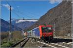 Die SBB Re 484 016 erreicht mit einer RoLa Freiburg - Novara den Bahnhof von Premosello Chiovenda.