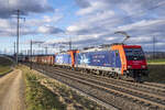 484 011 und 007 sind mit dem 60133 unterwegs in den RBL, aufgenommen zwischen Möhlin und Mumpf am 21.01.2022.