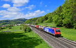 Re 484 019 mit einem KLV am 27.04.2022 bei Villnachern.