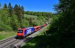 Re 484 005 mit einem leeren Autozug am 28.04.2022 bei Villnachern.