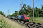 Rheinfelden-Augarten - 10. Juni 2022 : Re 484 019 mit einem Autozug.