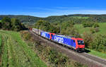 Re 484 004 + Re 484 008 mit einem Güterzug am 05.10.2022 bei Hornussen.