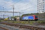 Re 484 021-1 durchfährt am 19.10.2022 den Bahnhof Pratteln.