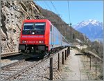 Die SBB Re 484 018 ist mit einem CIS EC von Milano Centrale nach Basel kurz vor Ausserberg unterwegs. Durch den Wegfall des Lokwechsel in Domodossola konnte CIS den EC Fahrplan recht gut stabilisieren und die sonst im Güterzug eingesetzten Loks passten in ihren dafür angebrachten CIS Farben gut vor die EC-Züge.
11. April 2007  