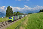 Re 485 017 mit einer RoLa am 13.6.2017 bei Spiez.