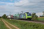 Mit einer RoLa (Freiburg (Brsg) Rbf - Novara Boschetto) fuhr am späten Nachmittag des 03.05.2020 die Re 485 015  BLS Cargo - Die Alpinisten  südlich von Buggingen über die Rheintalbahn