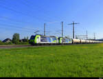 BLS - Lok 485 002 + 485 007 mit Güterzug unterwegs bei Lyssach am 02.05.2022