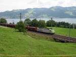 Berner Oberland 2007 - Bei Einigen am Thunersee begegnet uns am 03.08.2007 dieser gemischte Gterzug, der von einer BLS 485 bergwrts gezogen wird.