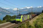 Re 485 011 + Re 485 0xx mit einem Tonerdezug Richtung Deutschland am 01.09.2010 unterwegs bei Einigen.