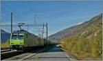 Die BLS Re 485 011-1 und ein Schwesterlok haben den Ltschberg Basis Tunnel verlassen, die Rohne berquert und fahren nun auf die SBB Strecke mndend, Visp entgegen.