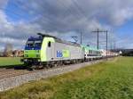 BLS - 485 013-7 mit Rolla unterwegs bei Lyssach am 10.01.2015