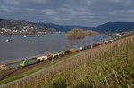 Re 485 020 mit einem KLV am 16.02.2016 bei Lorch am Rhein.