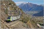 Die BLS Re 486 008 und eine weitere ziehen bei Lalden eine  RoLa  Novara - Freiburg nordwärts.