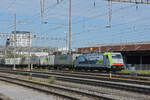 Re 486 510-1 der BLS durchfährt den Bahnhof Pratteln.