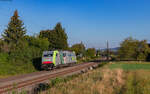 Re 486 505 als Tfzf in Richtung Basel bei Kollmarsreute 20.9.24