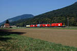 SWISS RAIL TRAFFIC AG  Rem 487 001 bei Oberbuchsiten unterwegs am 20.