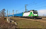 Das Alpenmurmeltier Rem 487 001-0 hat Holzhackschnitzel in blauen TRANSWAGGON Containern am Haken und überquert gerade die Leipziger Chaussee (B 6) Richtung Abzweig Halle Thüringer Bahn.