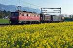 SBB Historic: Rollmaterialüberfuhr Olten-St.