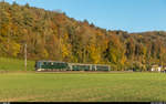 DVZO Fahrzeugtreffen 2017. Die Ae 6/6 11407  Aargau  vom Verein Mikado 1244 ist am 14. Oktober 2017 im letzten Abendlicht unterwegs von Bauma in ihr Nachtlager nach Winterthur. Aufgenommen zwischen Rikon und Kollbrunn.